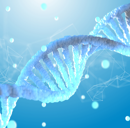 DNA helix structure for RNAi Science