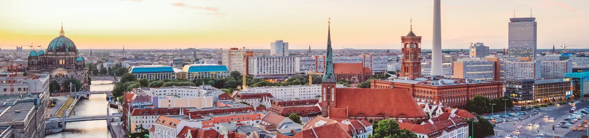 International Paediatric Transplant Association (IPTA) 2025 Congress, Germany