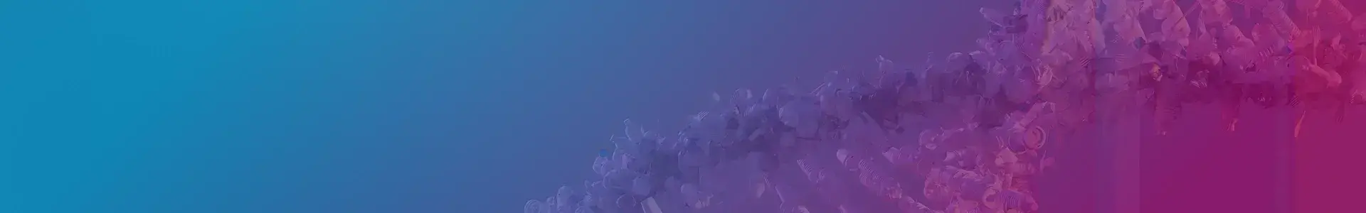 rna interference (rnai) with molecular structure representation